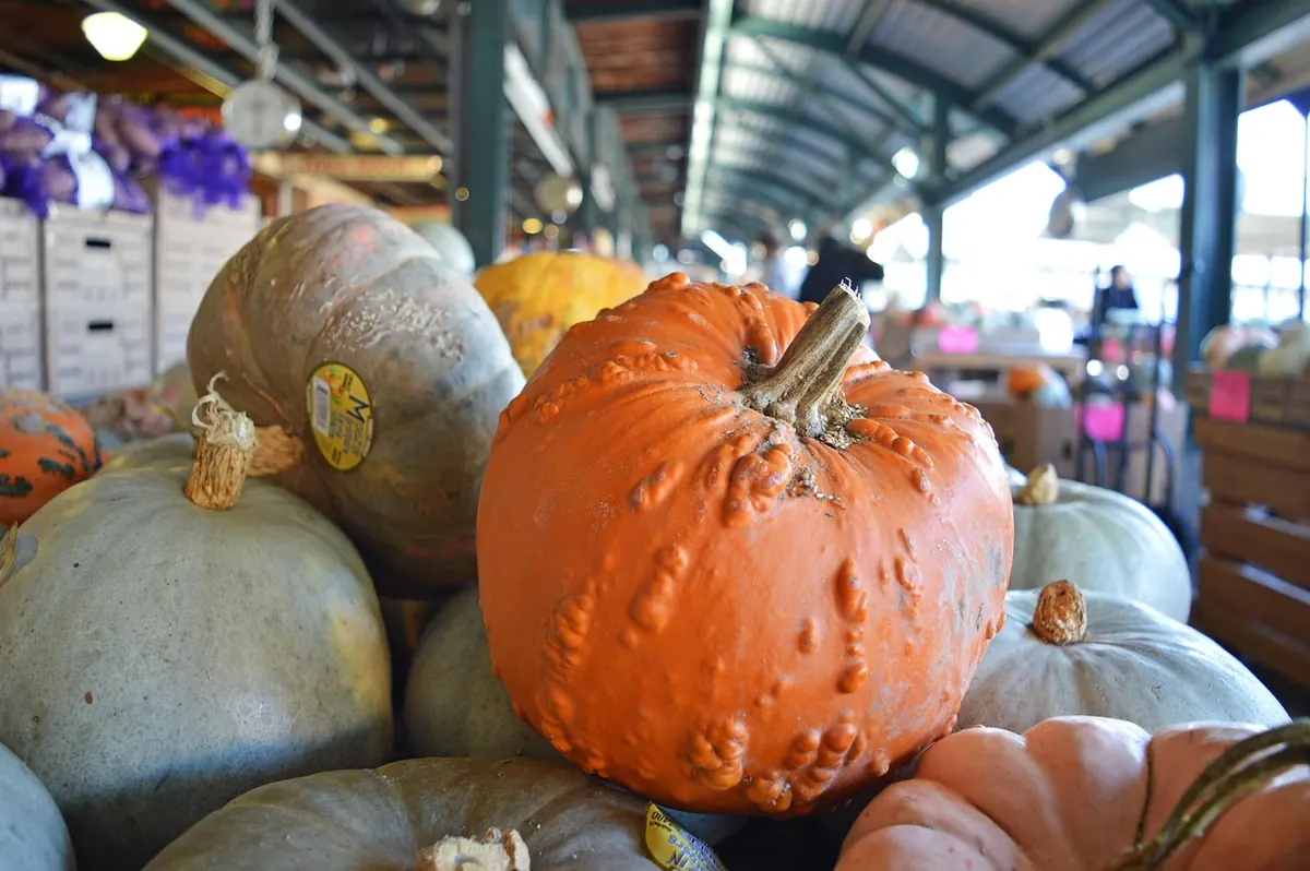 Local Seasonal Produce: What to Eat in Fall for Better Nutrition