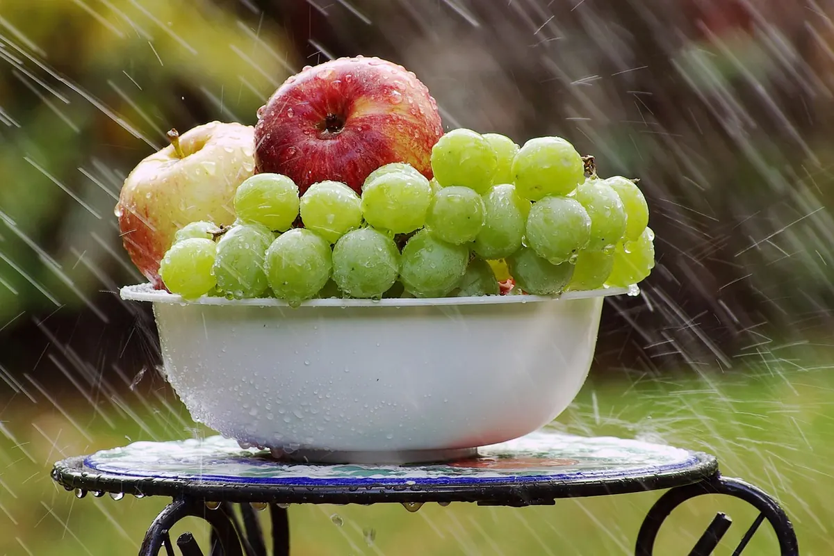 Mediterranean Diet vs. Plant-Based Eating: Which Fits Your Lifestyle?